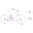 Giant Liv Tempt E+ 1 Női Elektromos MTB Kerékpár 2022