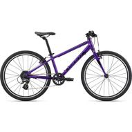 GIANT ARX 24" PURPLE GYEREK KERÉKPÁR